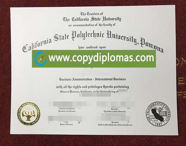 Poly Pomona diploma 