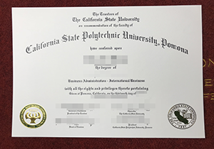 Buy fake Poly Pomona diploma