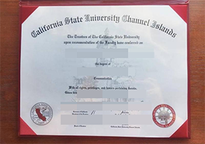 buy CSUCI degree fast