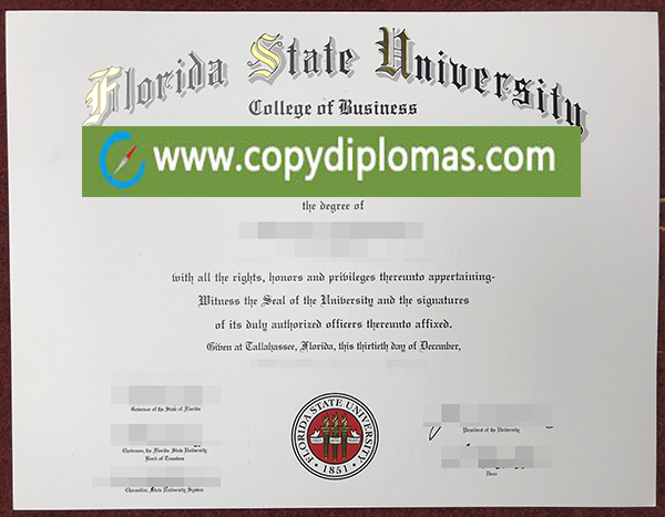 Florida State University degree