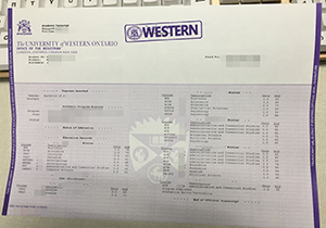 University of Western Ontario fake transcript