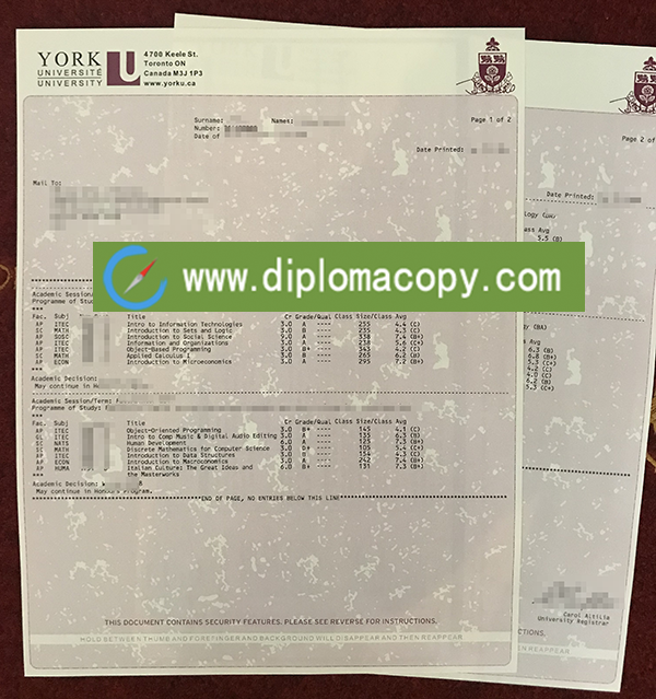 Buy fake York University transcript