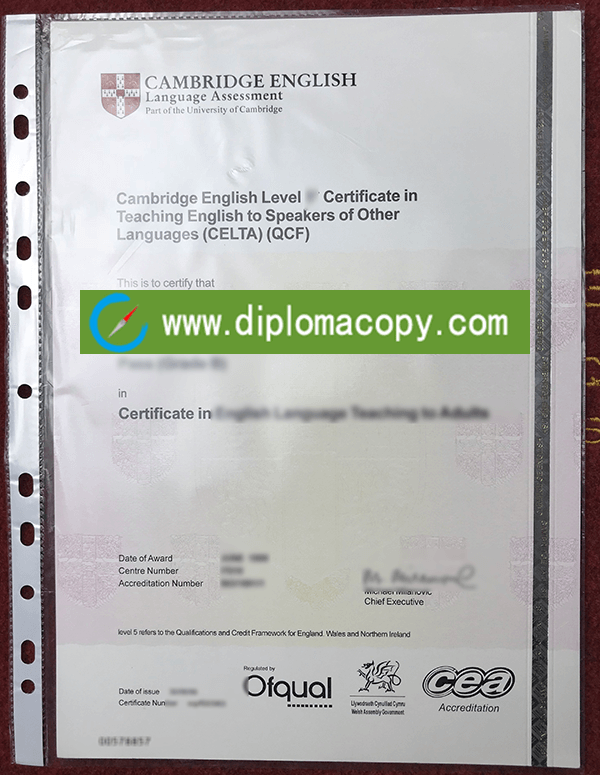 CELTA Certificate sample