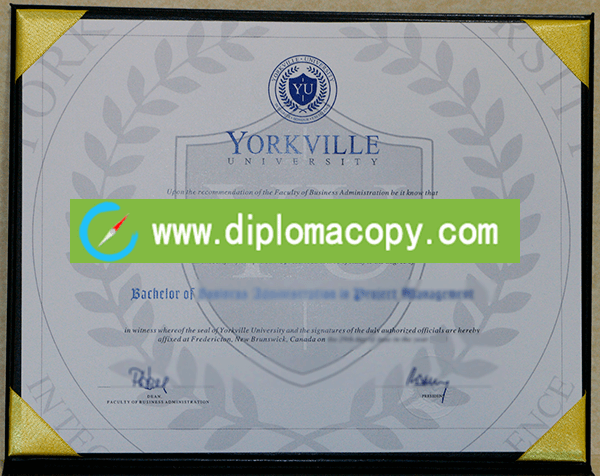 Yorkville University diploma