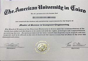 American University in Cairo diploma