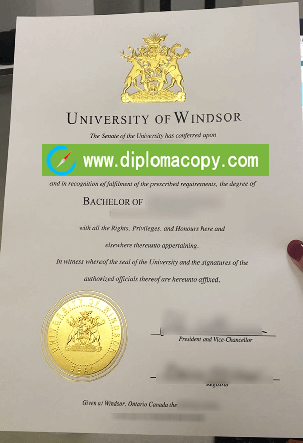 Buy University of Windsor fake diploma