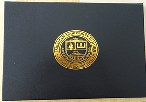 Buy American University in Dubai fake diploma leather sheath