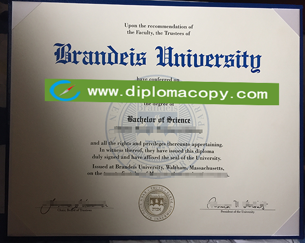 Brandeis University diploma