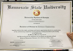 Kennesaw State University degree