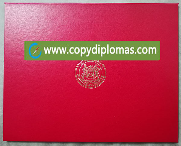 MIT diploma cover