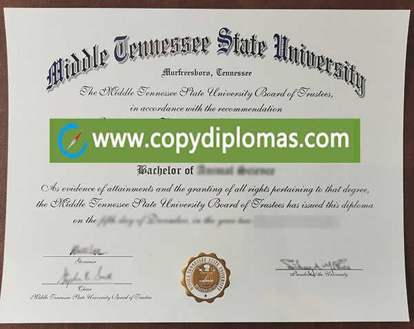 Middle Tennessee State University diploma