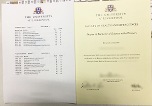 shopping University of Liverpool copy degree and transcript