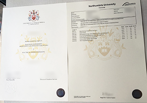 Fake Northumbria University diploma/ transcript for sale