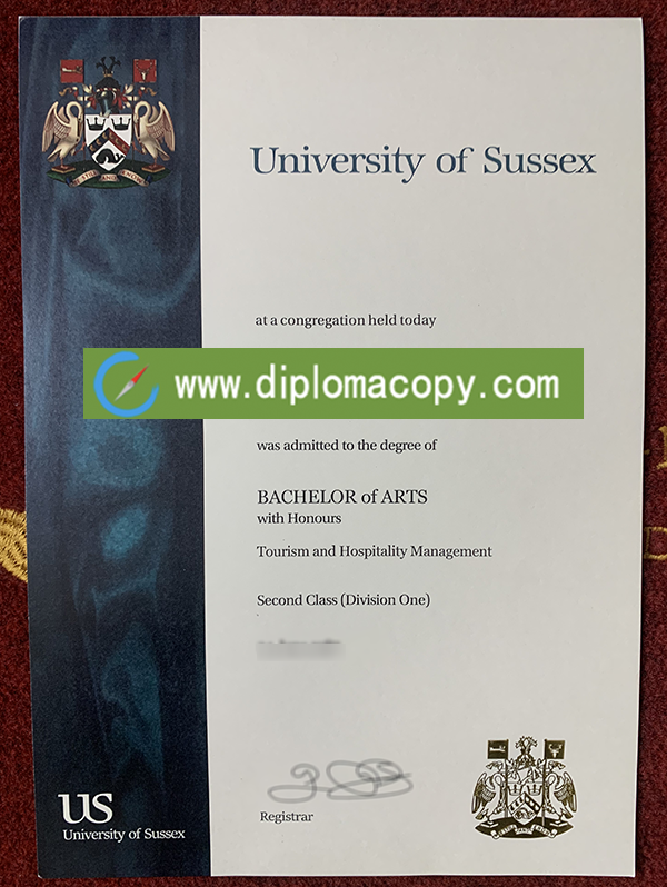 University of Sussex diploma