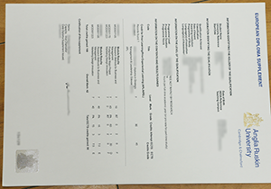 fake Anglia Ruskin University transcript