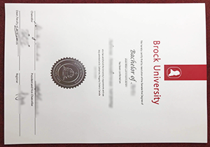 buy fake Brock University diploma