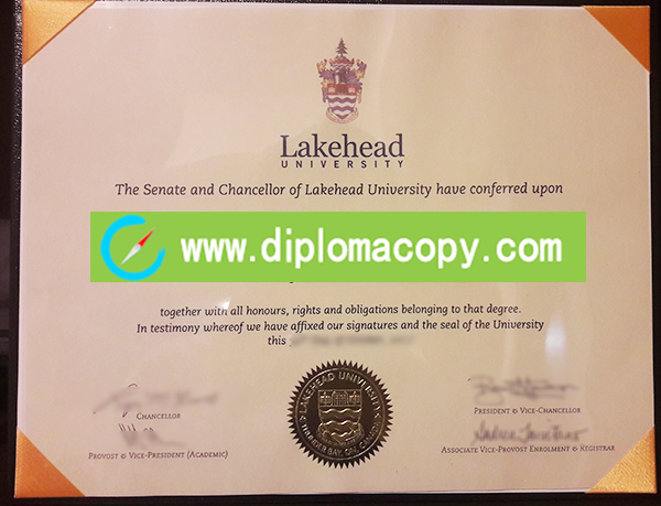 Lakehead University degree