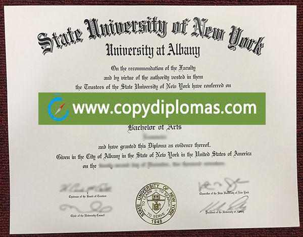 SUNY Albany diploma