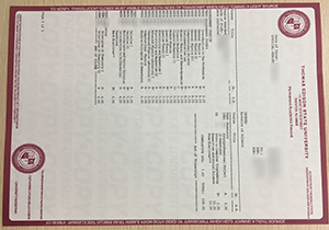 Thomas Edison State transcript