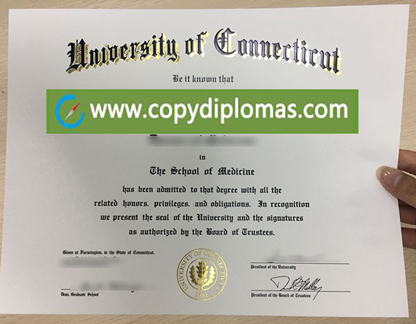 University of Connecticut degree