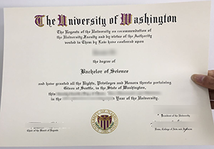 University of Washington degree