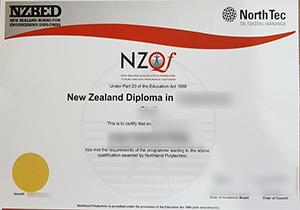 custom replacement Northland Polytechnic degree