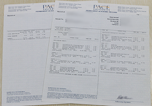 Purchase fake Pace University transcript