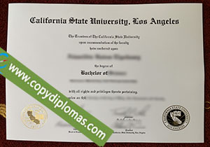 CSULA degree