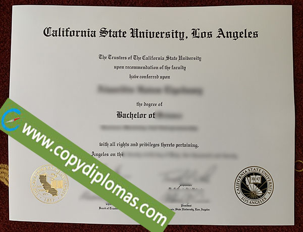 CSULA degree