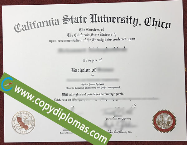 California State University Chico degree