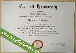 Cornell University degree