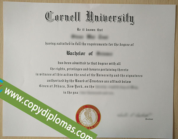 Cornell University degree