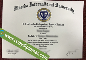 Florida International University degree