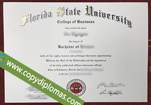 Florida State University degree