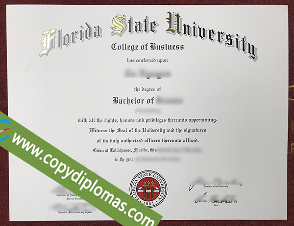 Florida State University degree