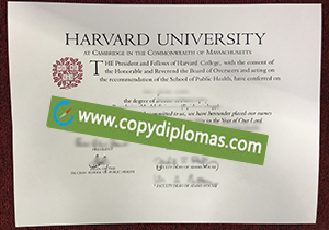 Harvard University degree