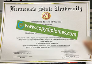 Kennesaw State University degree