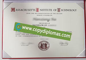 Massachusetts Institute of Technology degree