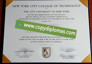 New York City College of Technology degree