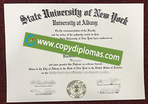 SUNY Albany diploma