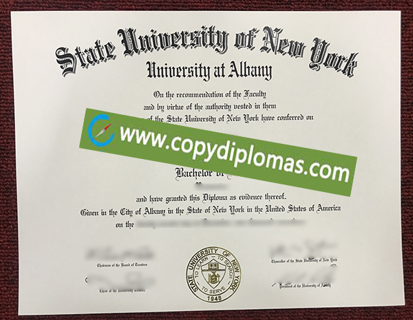 SUNY Albany diploma