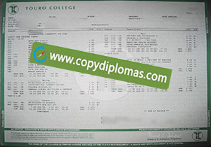 Touro College transcript degree