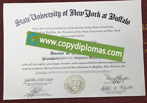 SUNY Buffalo degree