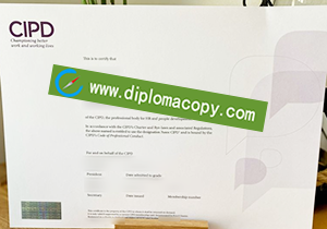 buy fake CIPD certificate