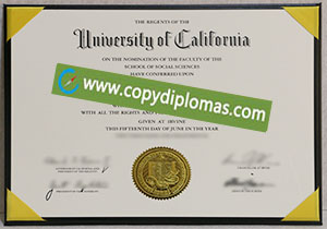 UC Irvine degree