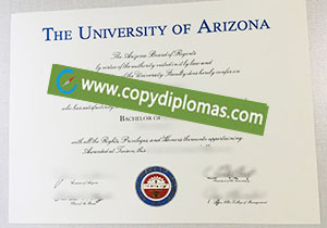 University of Arizona degree