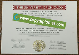 University of Chicago degree