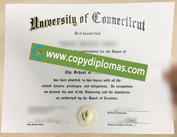 University of Connecticut degree