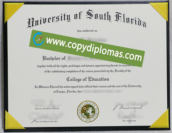 University of Florida diploma