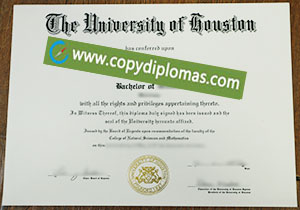 University of Houston degree